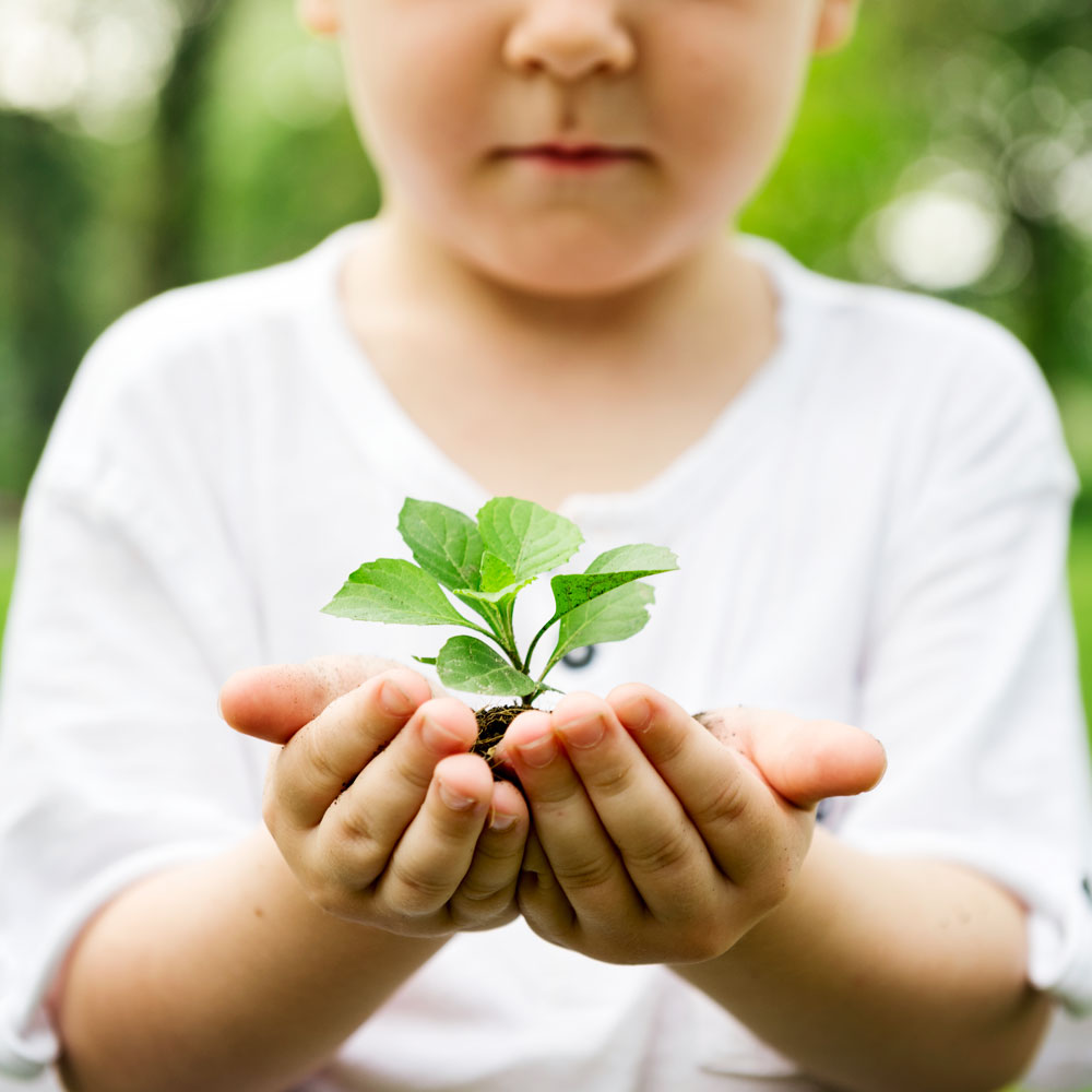 bonnes habitudes écolo geste ecologie quotidien bijou fleurs bijoux nature