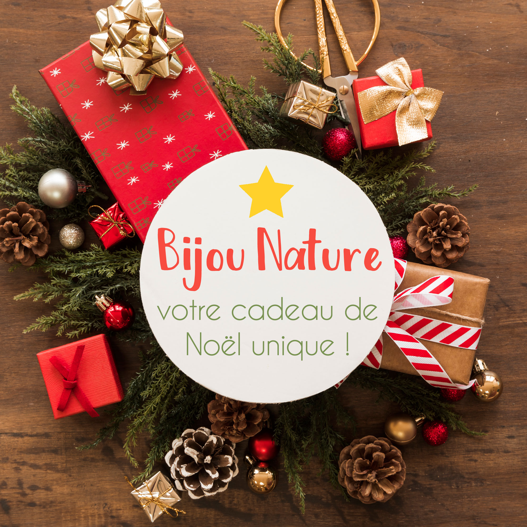 Bijou Fleur : Offrez un cadeau Nature unique pour Noël !