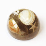 presse papier étoile de mer en résine sable coquillages inclusion objet déco végétal