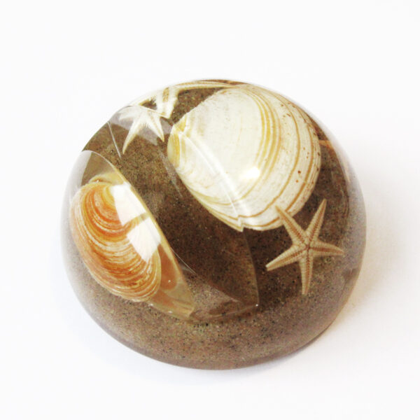 presse papier étoile de mer en résine sable coquillages inclusion objet déco végétal