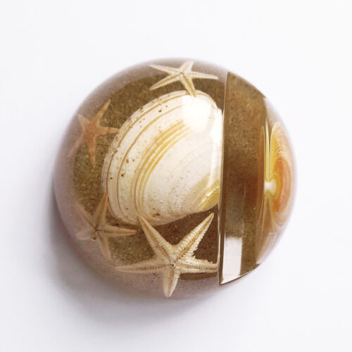 presse papier étoile de mer en résine sable coquillages inclusion objet déco végétal