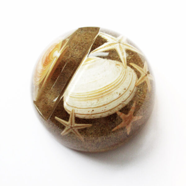presse papier étoile de mer en résine sable coquillages inclusion objet déco végétal