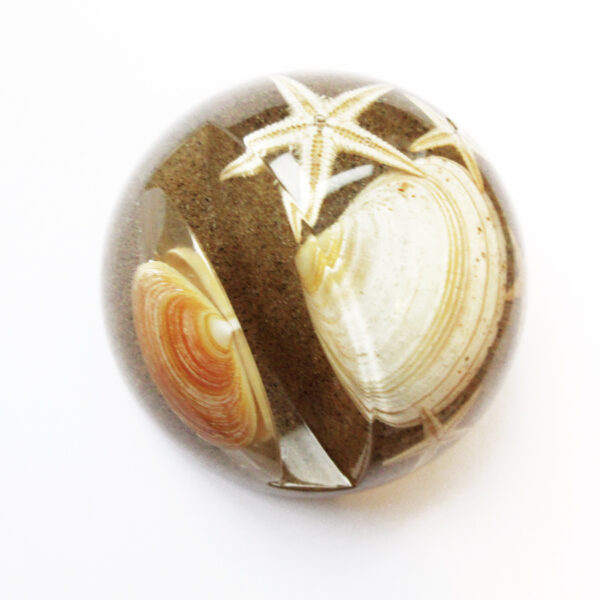 presse papier étoile de mer en résine sable coquillages inclusion objet déco végétal