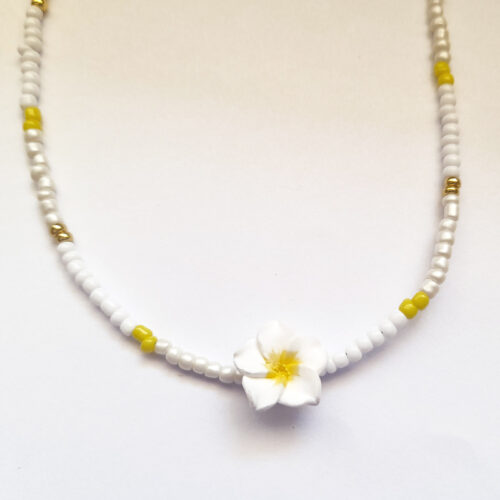 Collier Hawaii